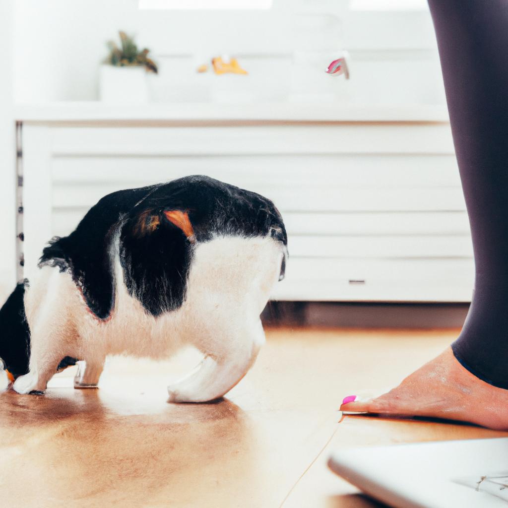 猫背改善のために
